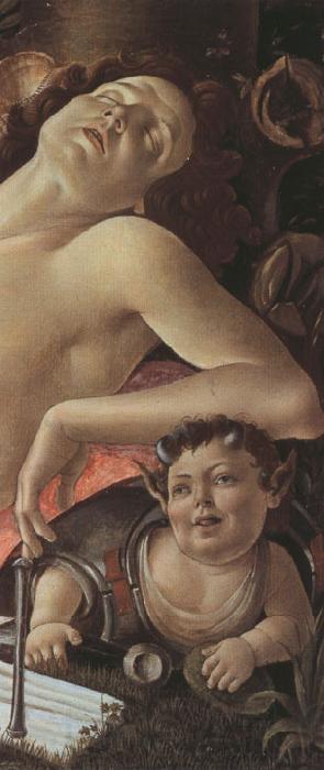 Sandro Botticelli Venus and Mars (mk36) Norge oil painting art